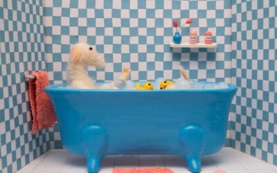 28º FCV: Animação Cenas da Infância utiliza metáfora com animais para abordar peculiaridades humanas