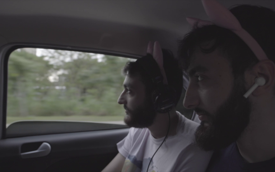 Felinos são destaque no documentário Cercanias/ Gatos que faz parte da programação da 25ª Mostra Competitiva Nacional de Curtas