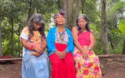 Longa capixaba  “A Caminhada Sagrada de Tatatxi Ywareté” eterniza a trajetória de líder espiritual Guarani